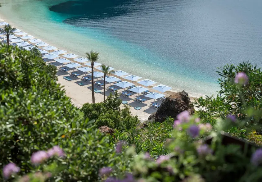 D Maris Bay — Gallery 17