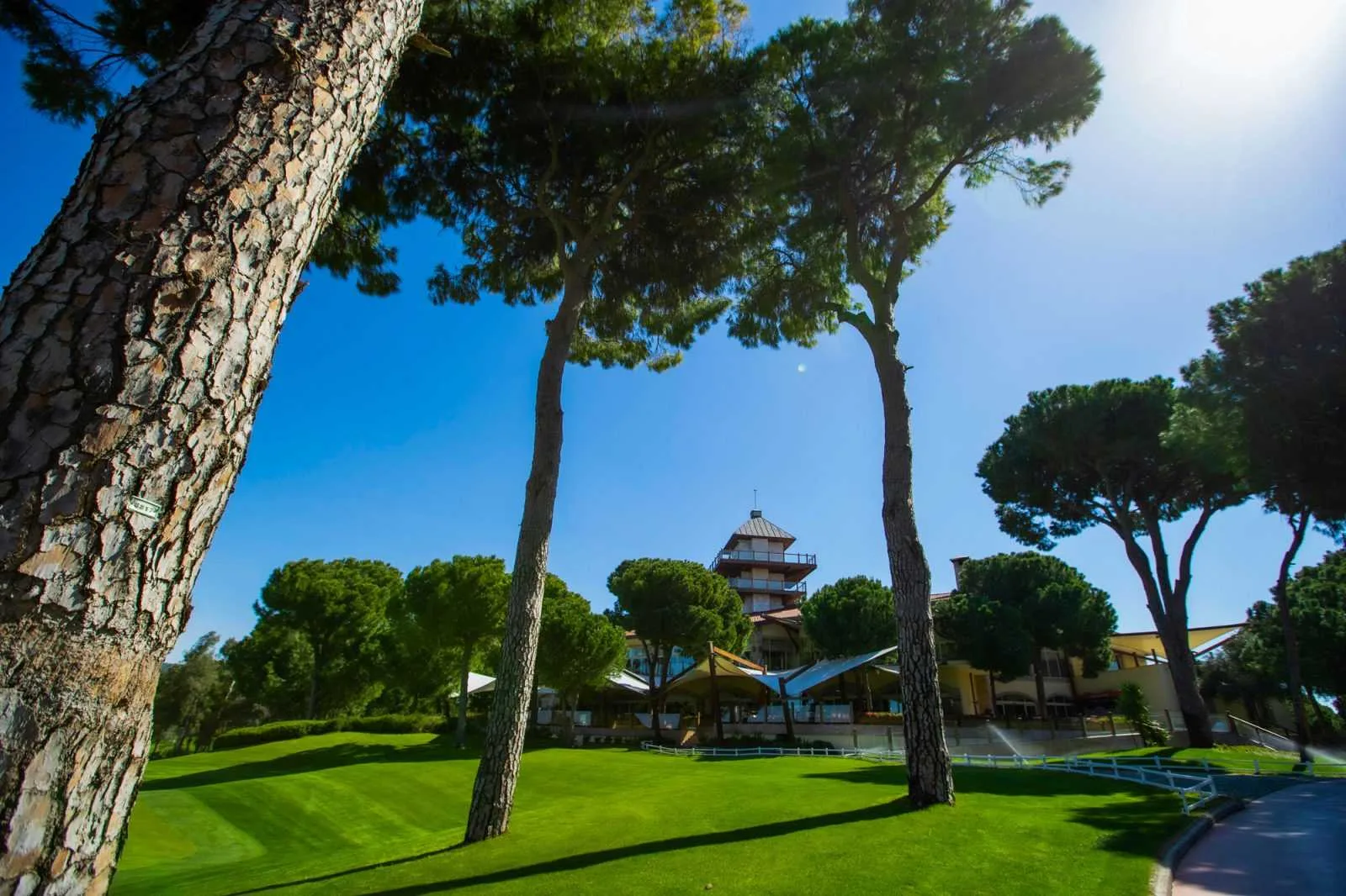 Montgomerie Golf Maxx
