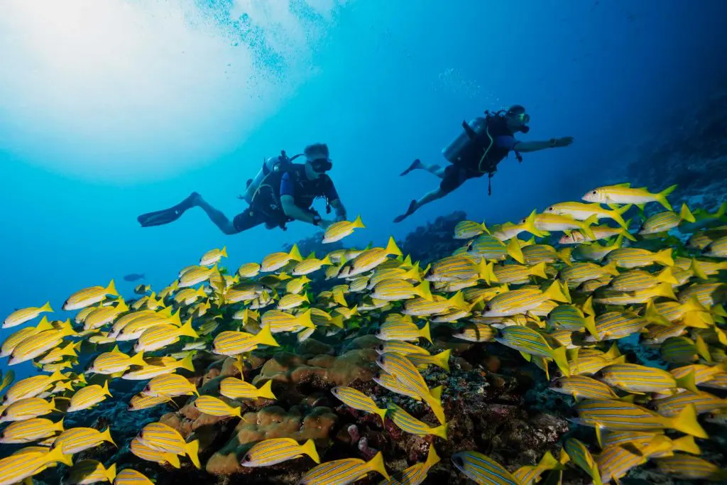 NOTH MALE ATOLL