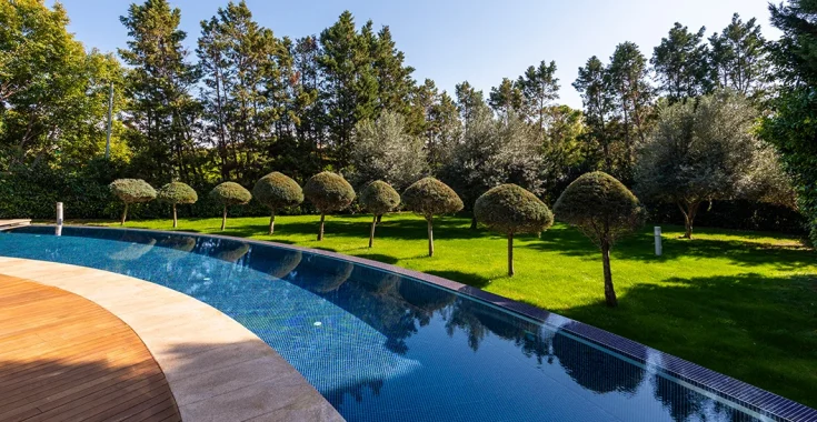 Luxury Accommodations